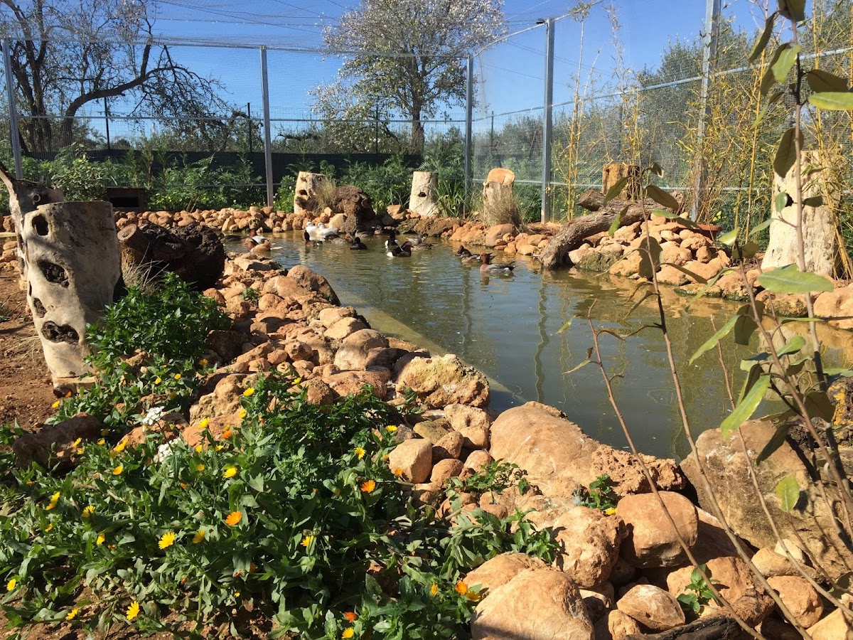Fattoria Bassa Corte — Alloggio a Agrigento, Agrigento