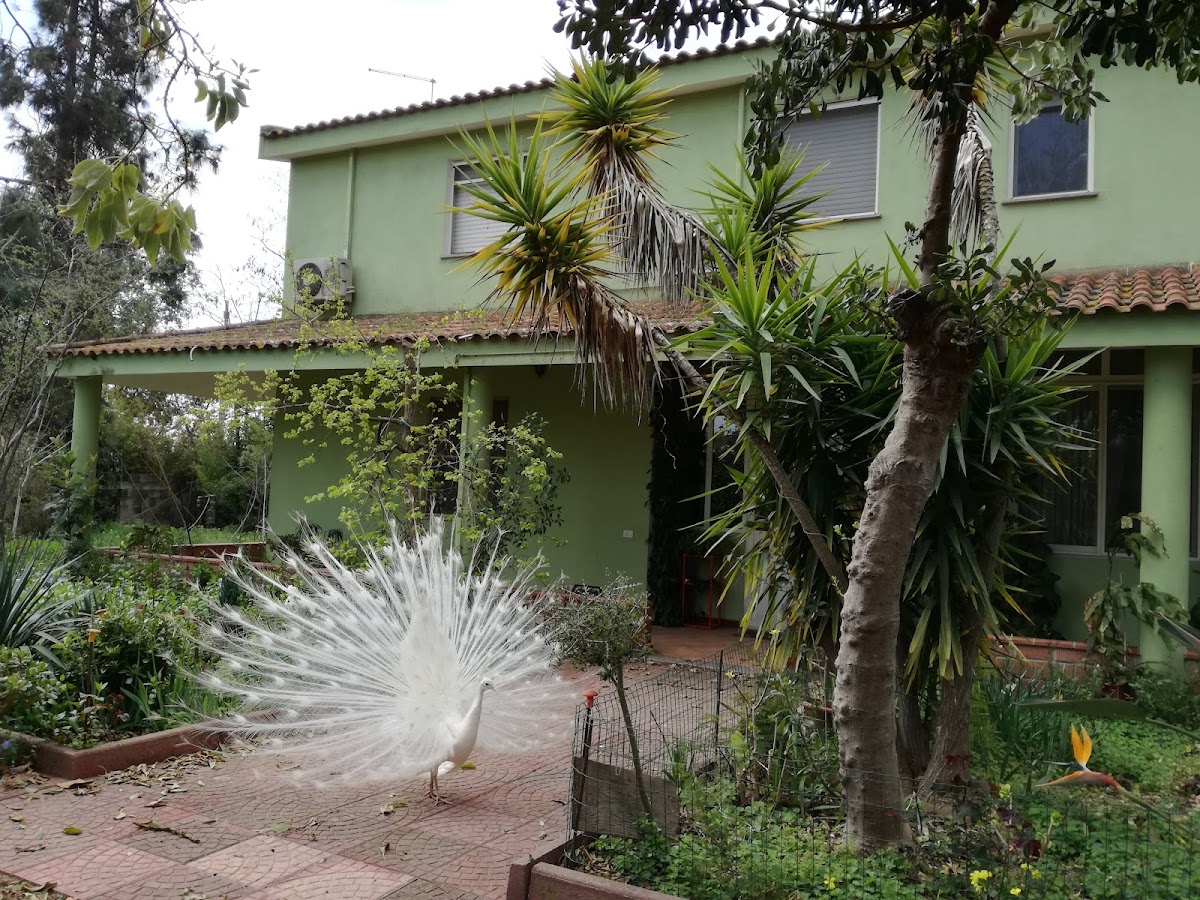 B&B Fattoria Giaccu — Alloggio a Cagliari, Cagliari