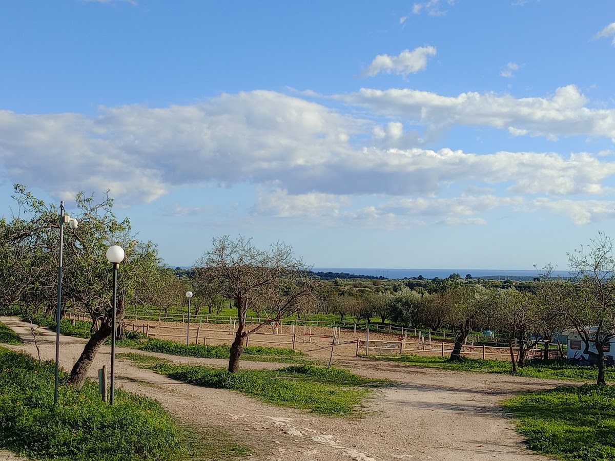 Agriturimo Vita e Natura — Alloggio a Noto, Siracusa