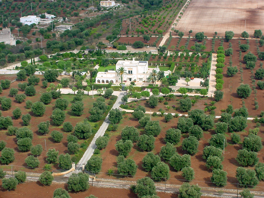 Masseria Appia Traiana — Alloggio a Ostuni, Brindisi