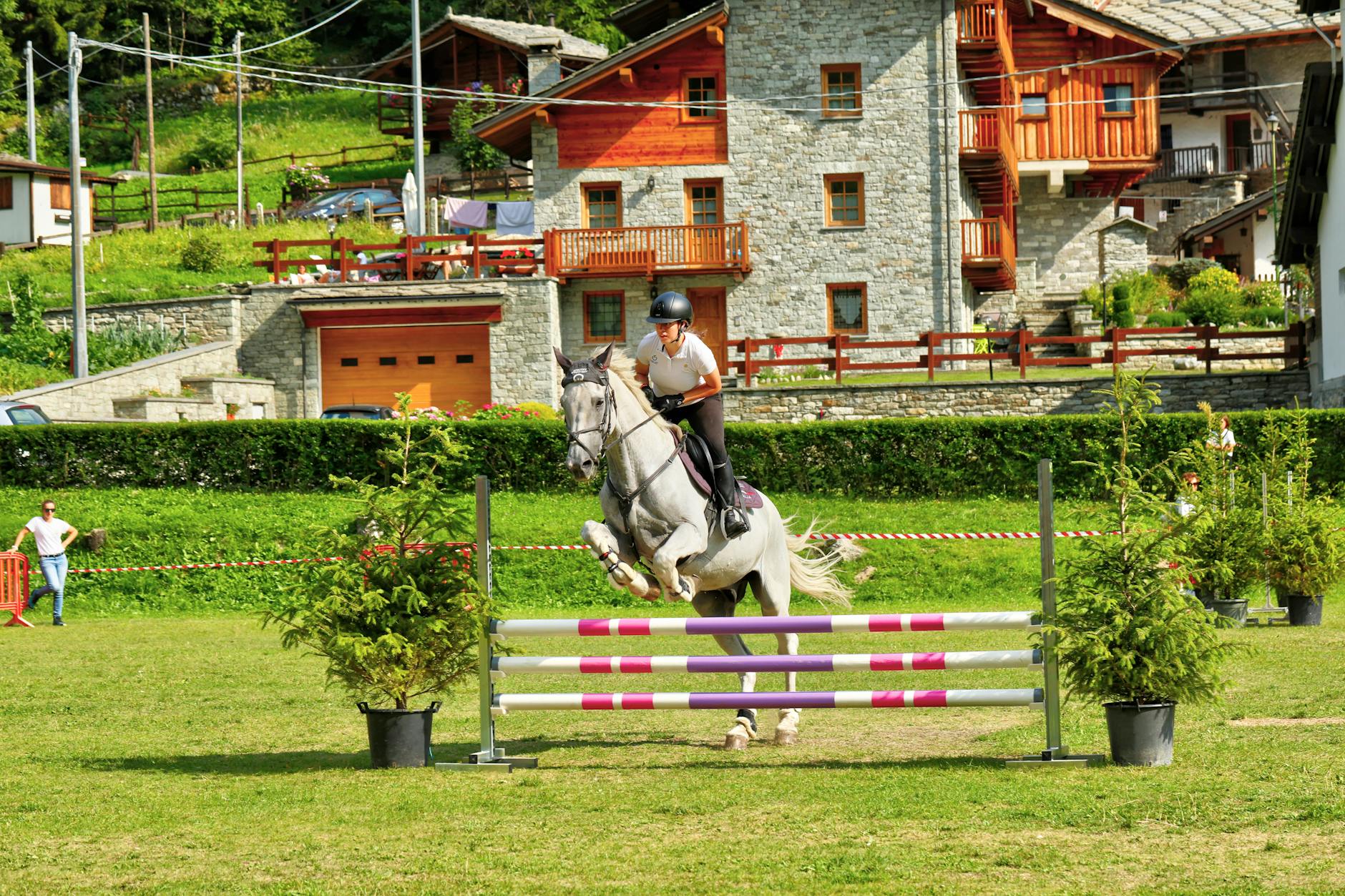 Animal Chic Hotel La Grange — Hébergement in Courmayeur, Piedmont