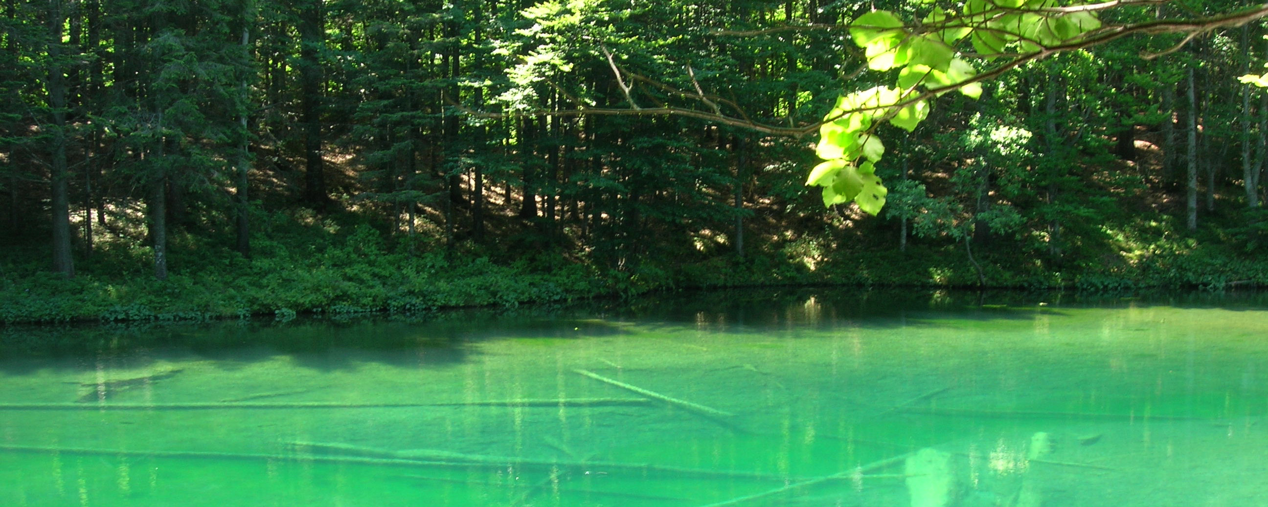 Ente Parco dell'Aveto