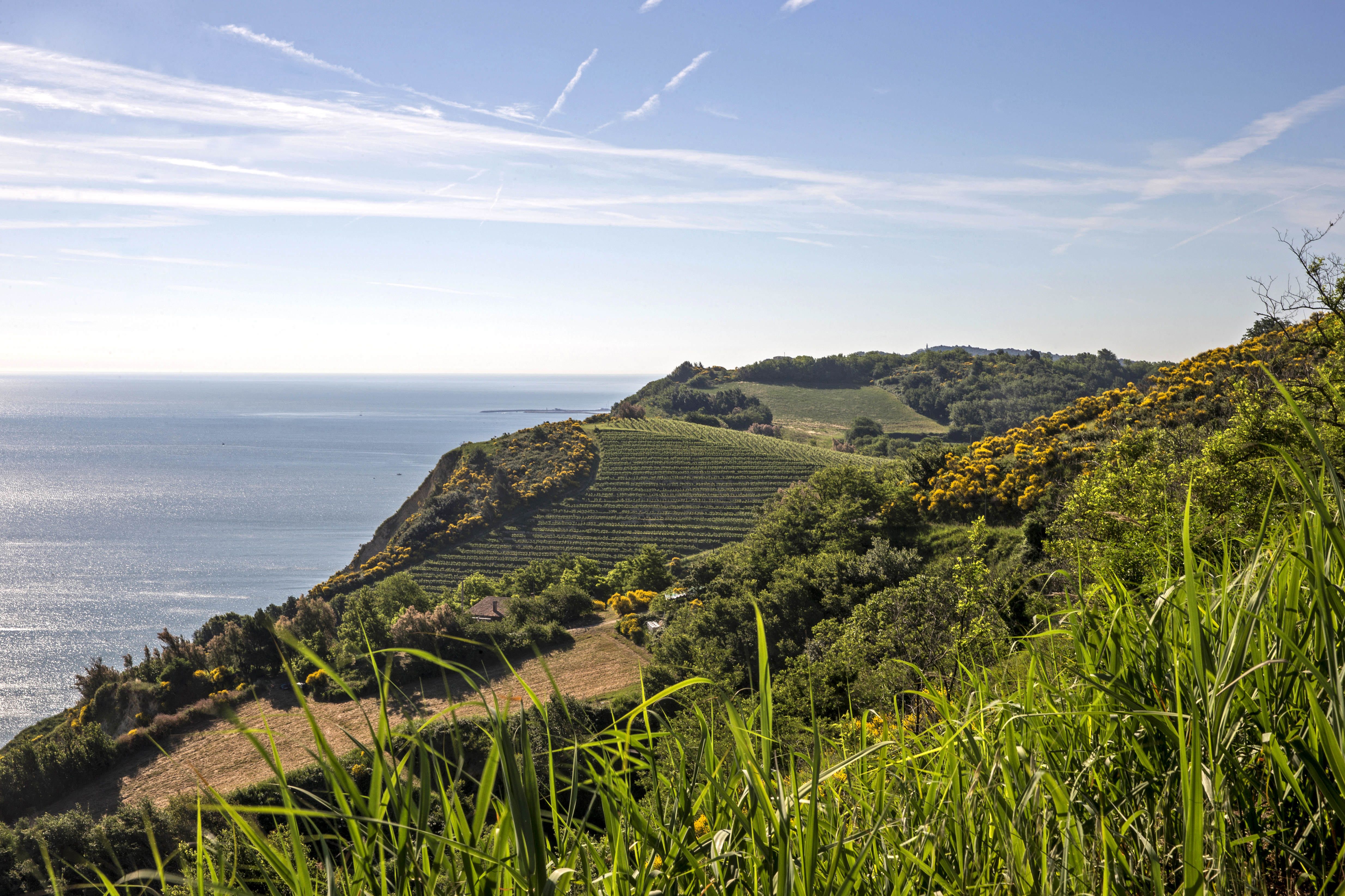 Parco Naturale Monte San Bartolo