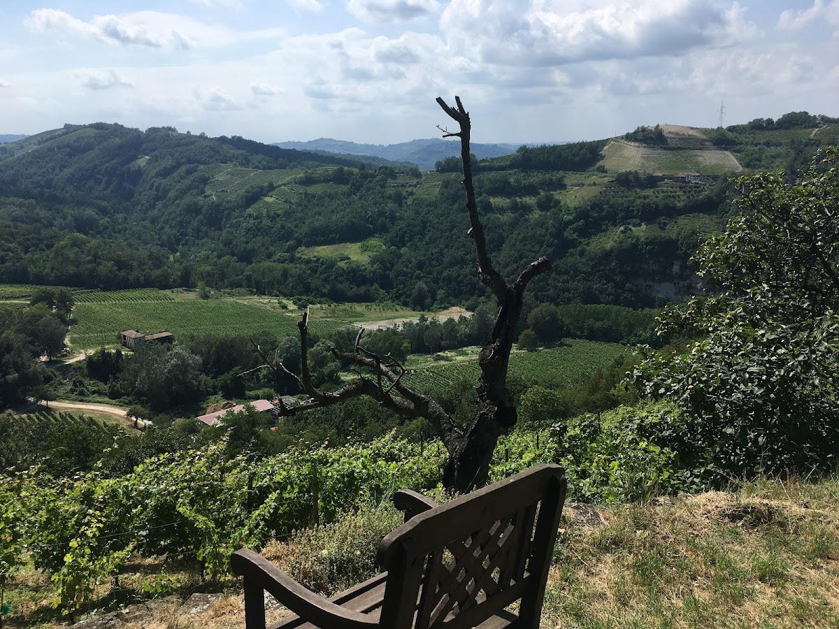 Oasi Affiliata WWF Forteto della Luja — Punto di interesse a Neive, Cuneo