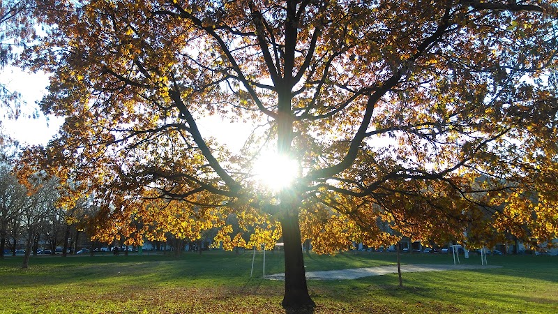 Parco Braccini