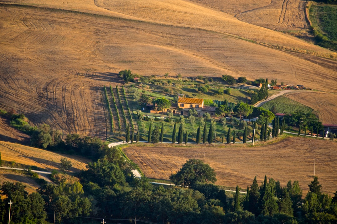 Paesaggio Vitivinicolo Langhe-Roero-Monferrato — Punto di interesse a Alba, Cuneo