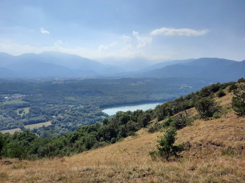 Bosco delle Radici