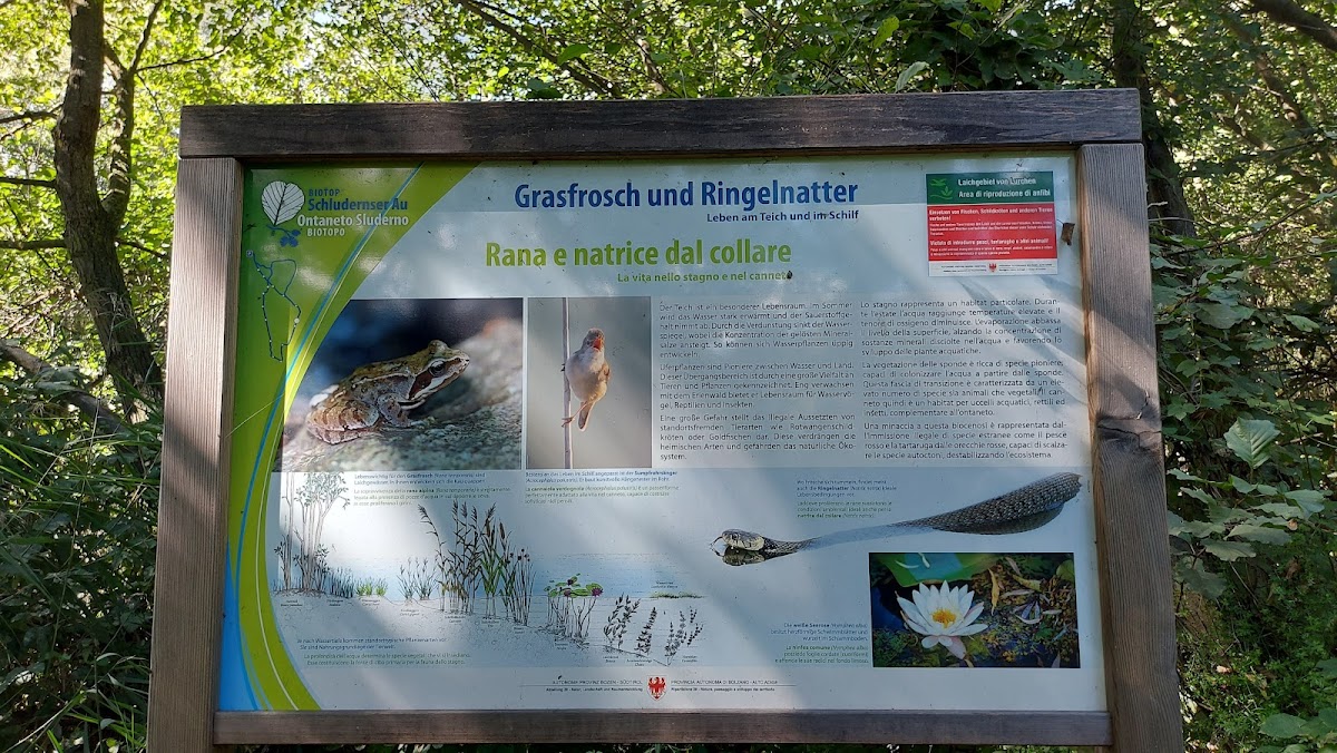 Biotopo Ontaneto di Sluderno
