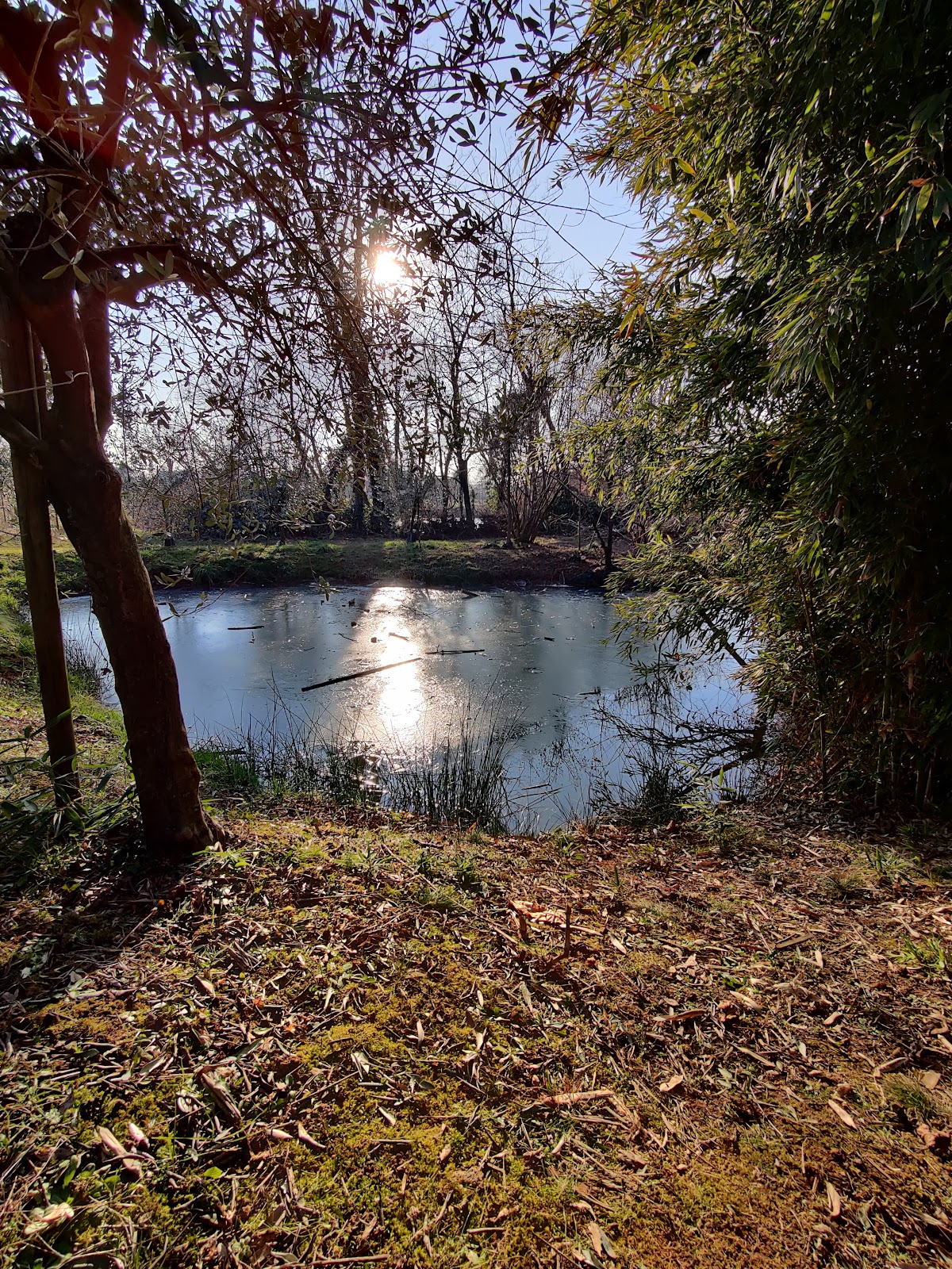 Sentiero Natura Via Vallon — Punto di interesse a Treviso, Treviso