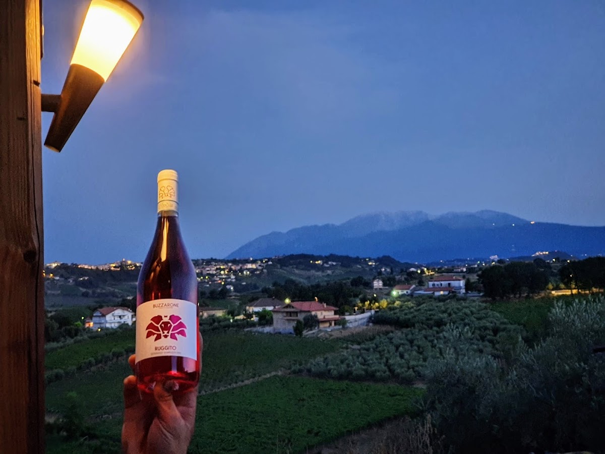 BUZZARONE_vignaiolo in Castelferrato - vino e olio~biologici