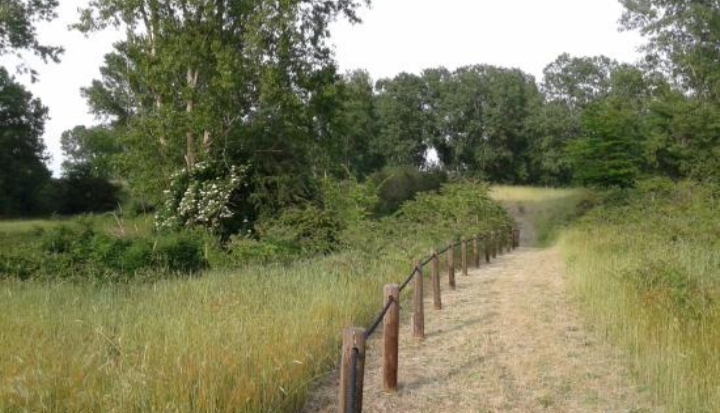 Riserva Naturale Orientata delle Dune fossili di Massenzatica — Punto di interesse a Ferrara, Ferrara