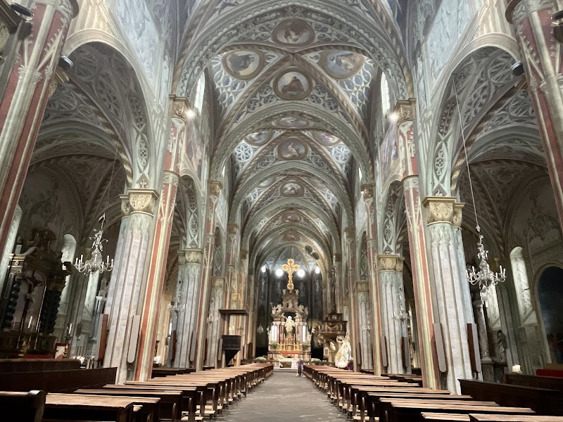 La cattedrale che domina con grazia la vigna umana