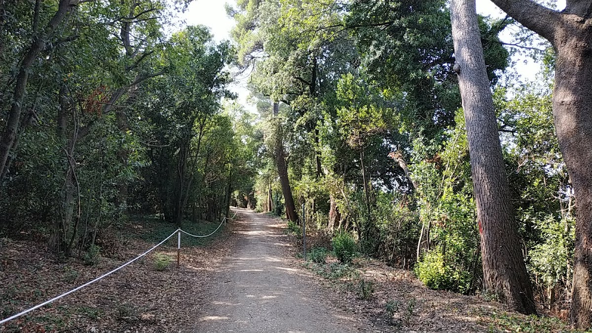 Parco di Villa Lauri — Punto di interesse a Macerata, Macerata