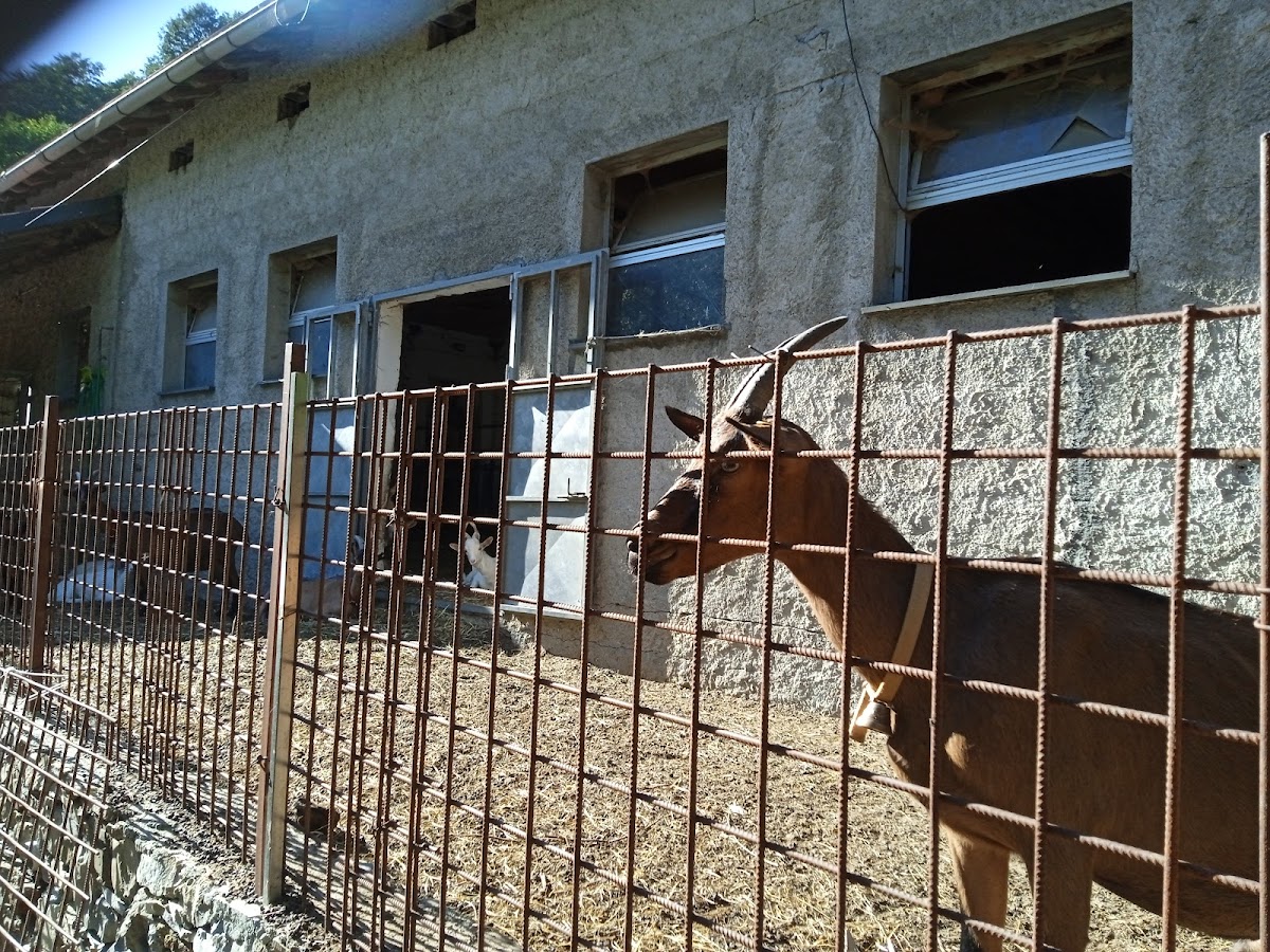 Agriturismo Autra