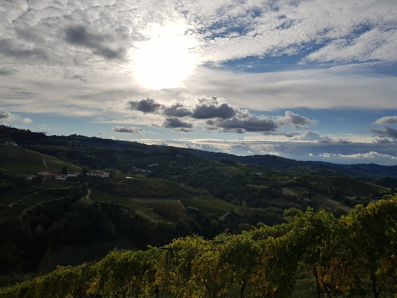 Panchina Gigante 42 - Cassinasco — Punto di interesse a Canelli, Asti