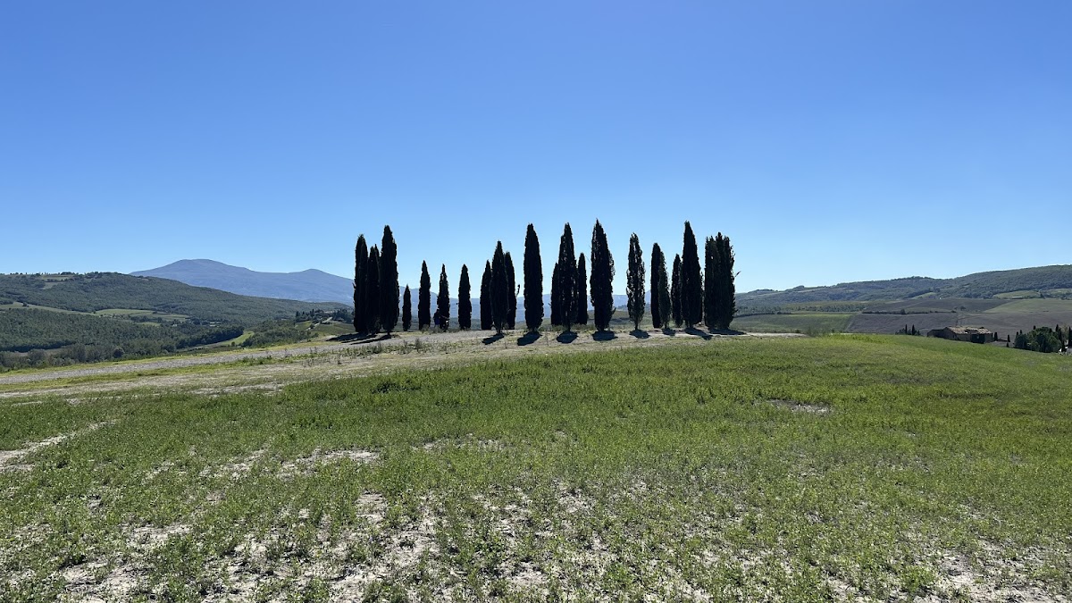 Scenic Point — Punto di interesse a Montalcino, Siena
