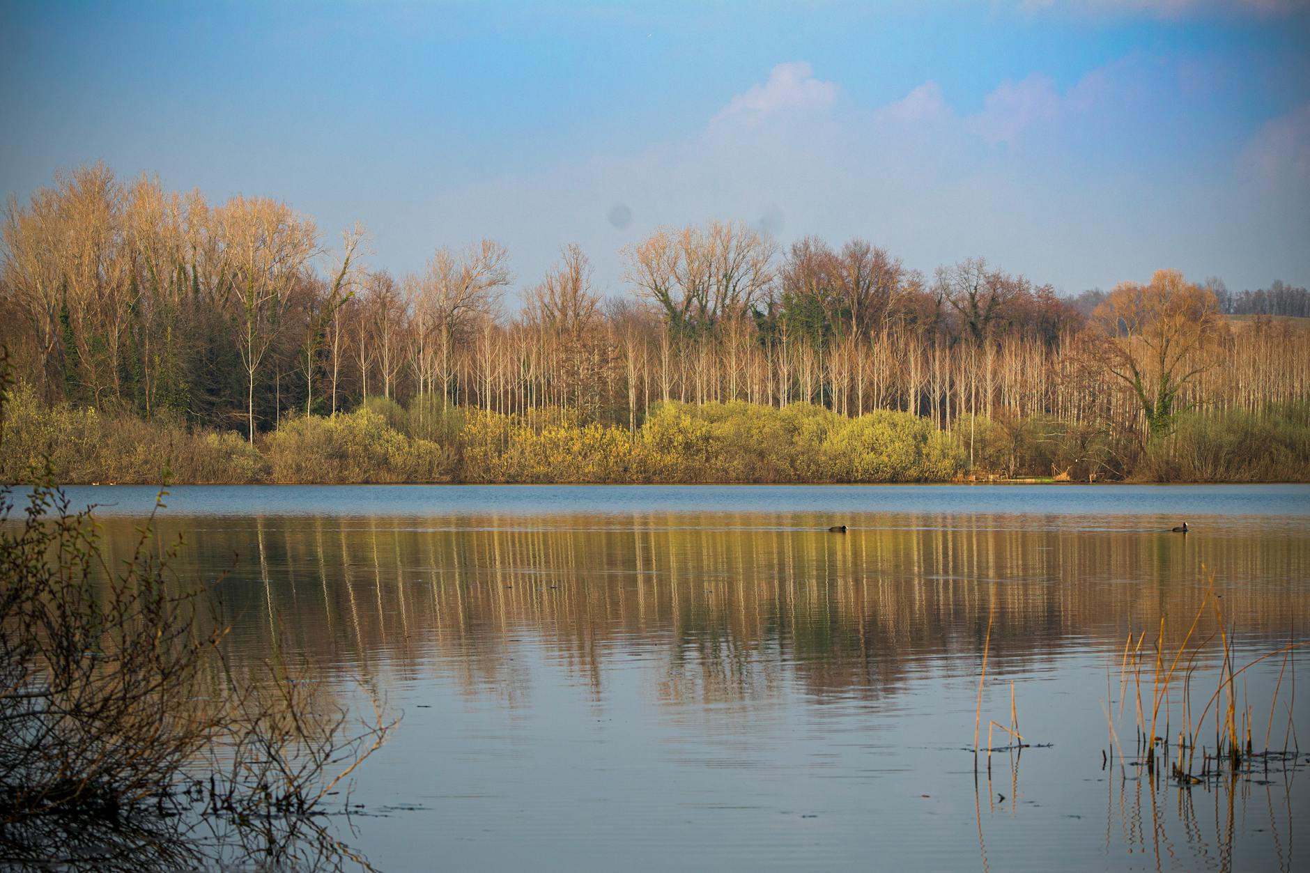 Parco Natura VoloAlto — Punto di interesse a Roma, Roma