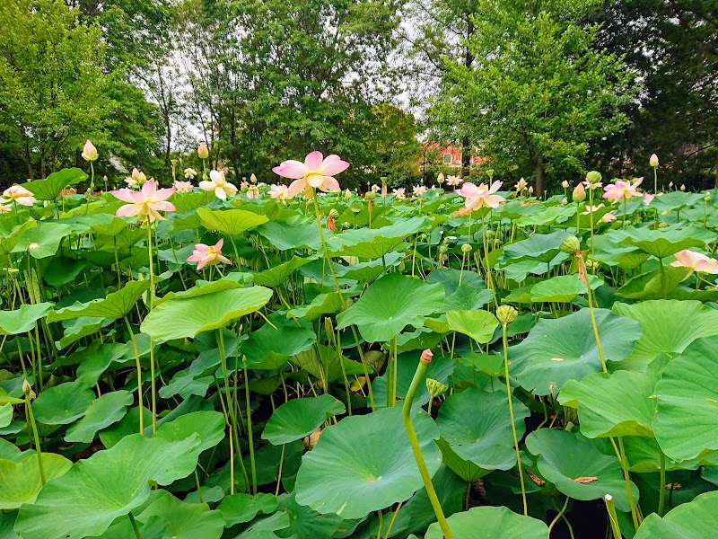 Parco Beldì