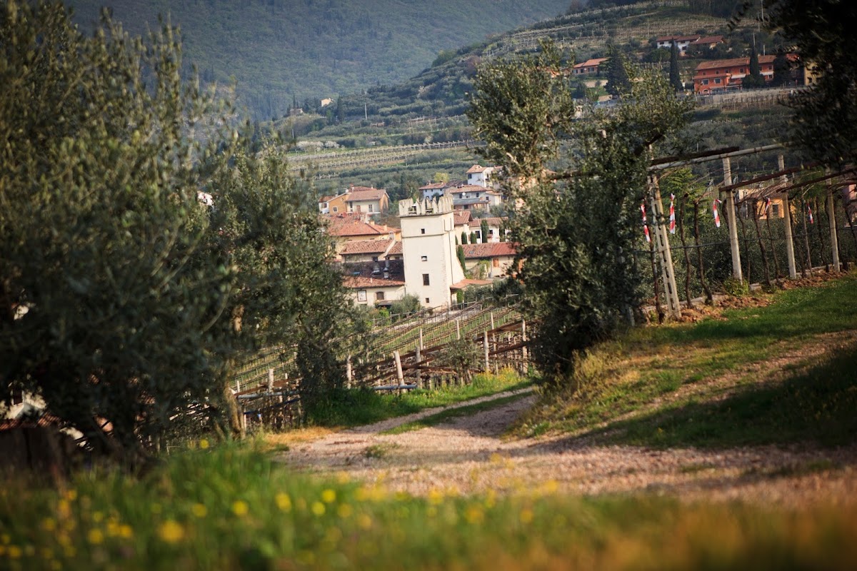 Azienda Agricola Corteforte — Point of interest in Verona, Verona