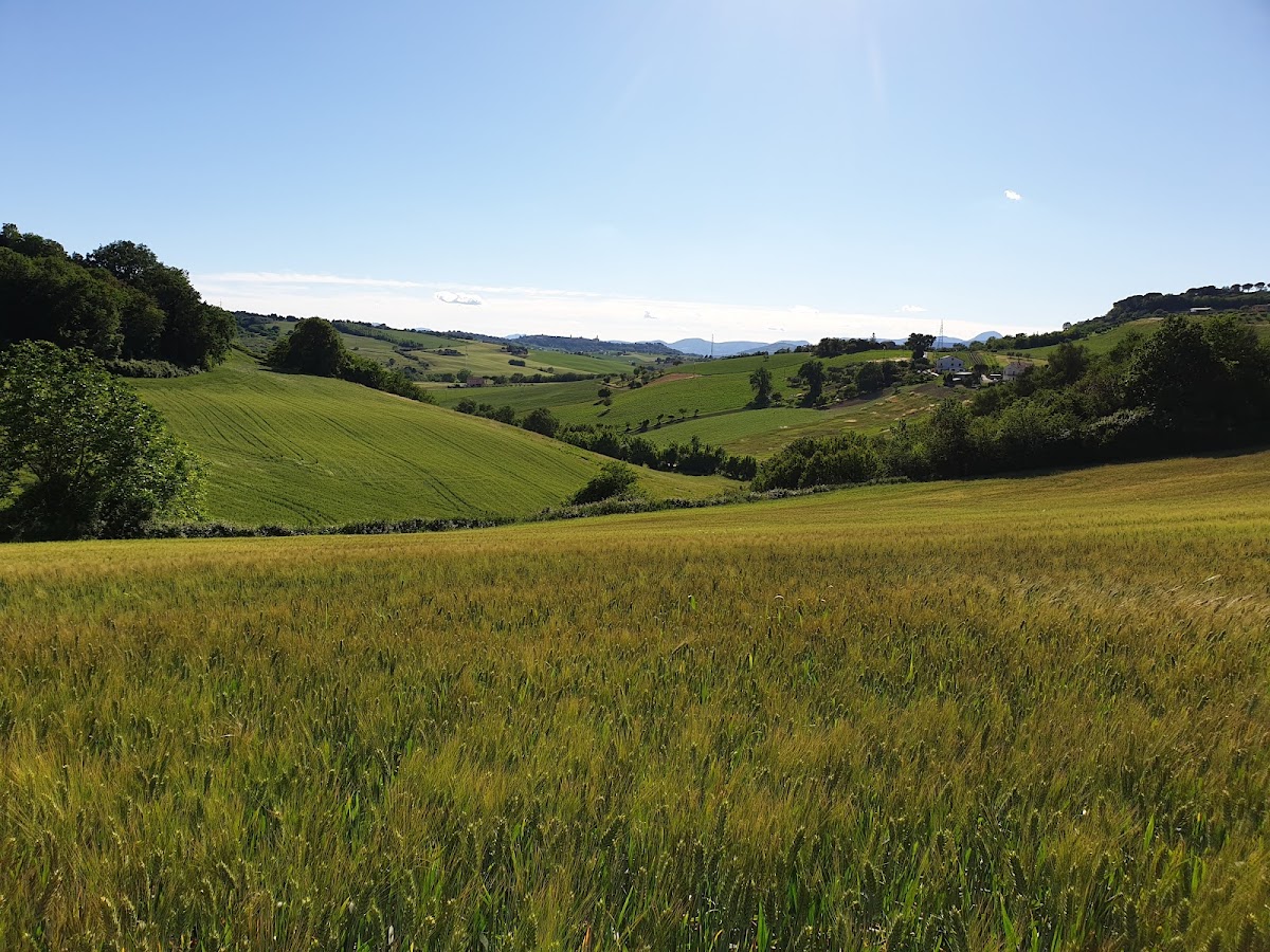 Bosco Urbano di Collevario — Punto di interesse a Macerata, Macerata