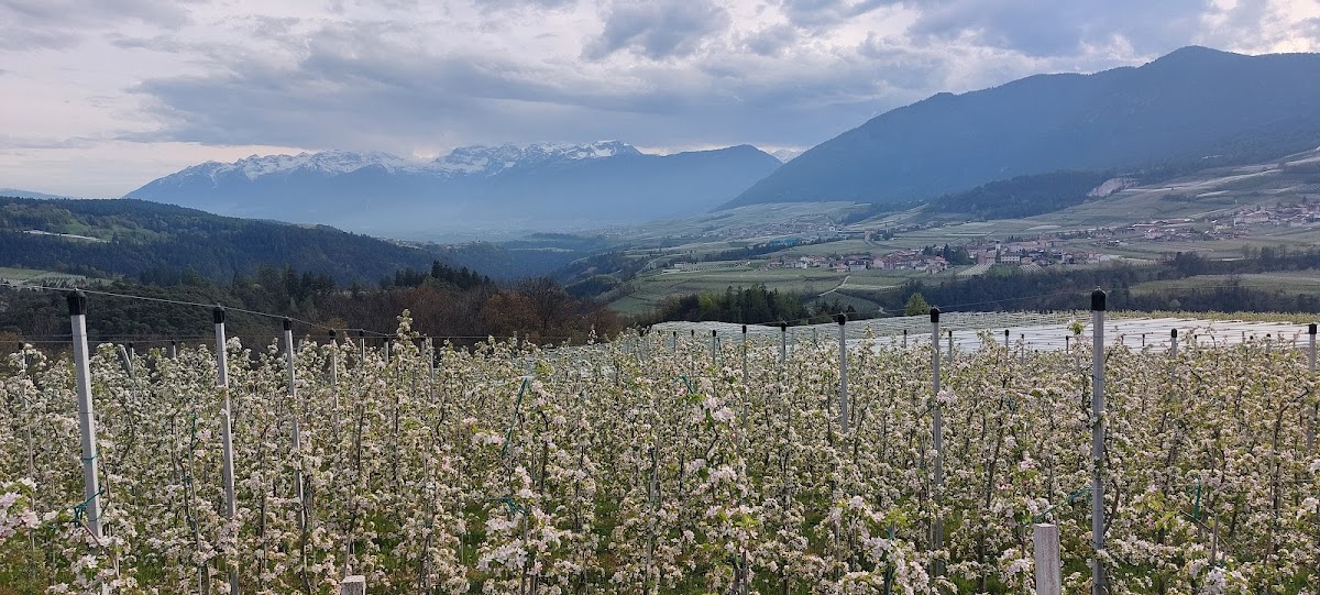 Oasi Naturalistica Pradena — Punto di interesse a Bolzano, Bolzano
