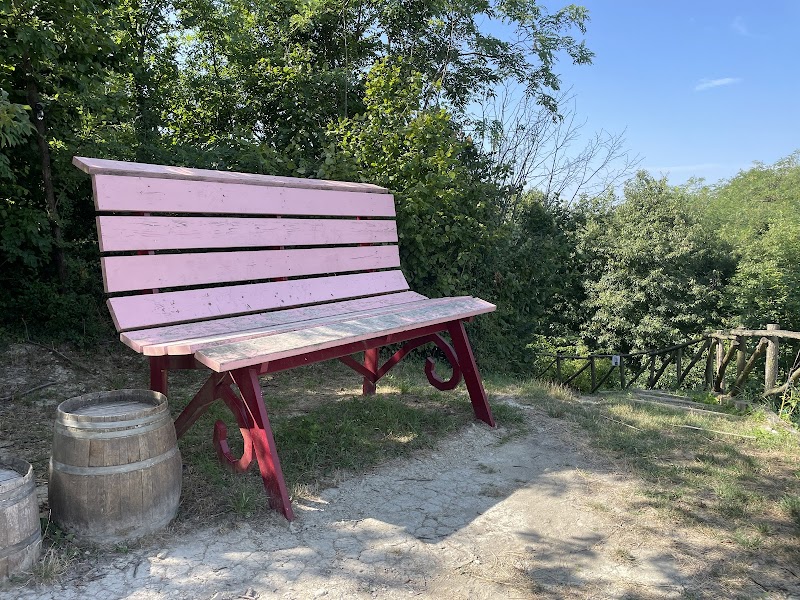 Panchina Gigante 117 - Camino Monferrato — Punto di interesse a Trino, Vercelli