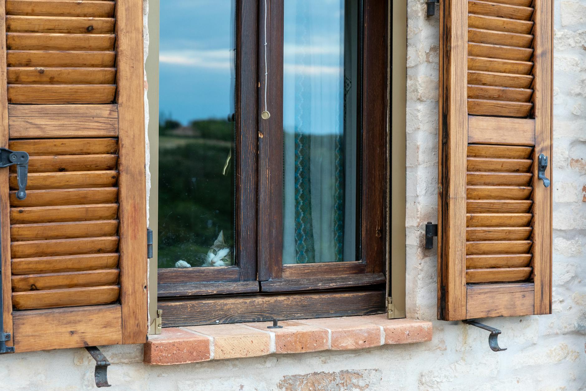 Torre di Palme — Punto di interesse , Ancona