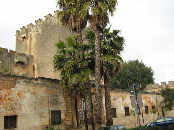 castello Dentice di Frasso di San Vito dei Normanni — Punto di interesse , Bari