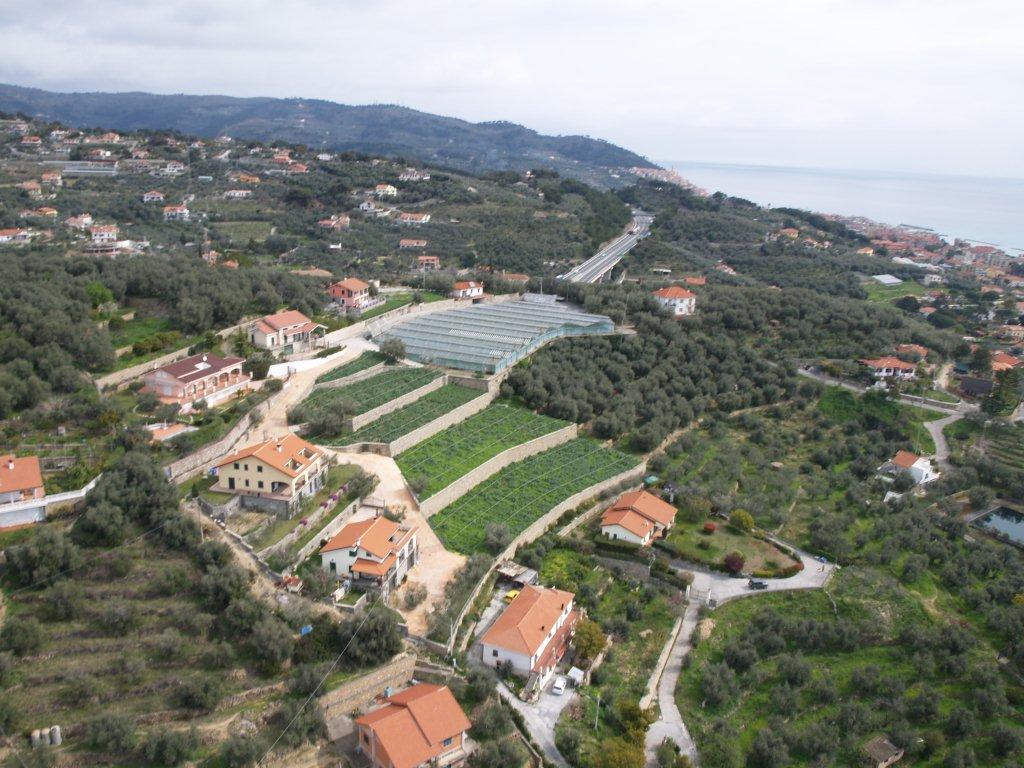 Azienda Agricola e Agriturismo il Colle degli Ulivi