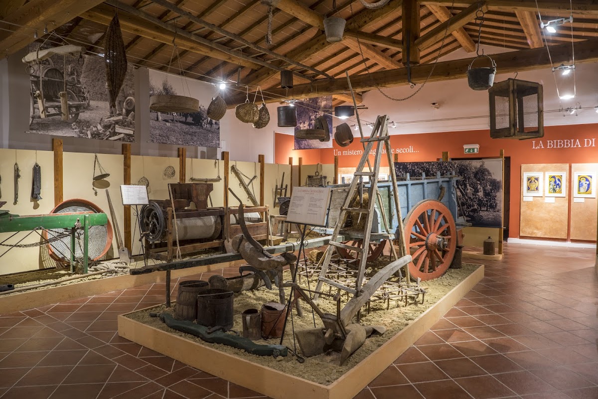 Museo del Brunello — Punto di interesse a Montalcino, Siena