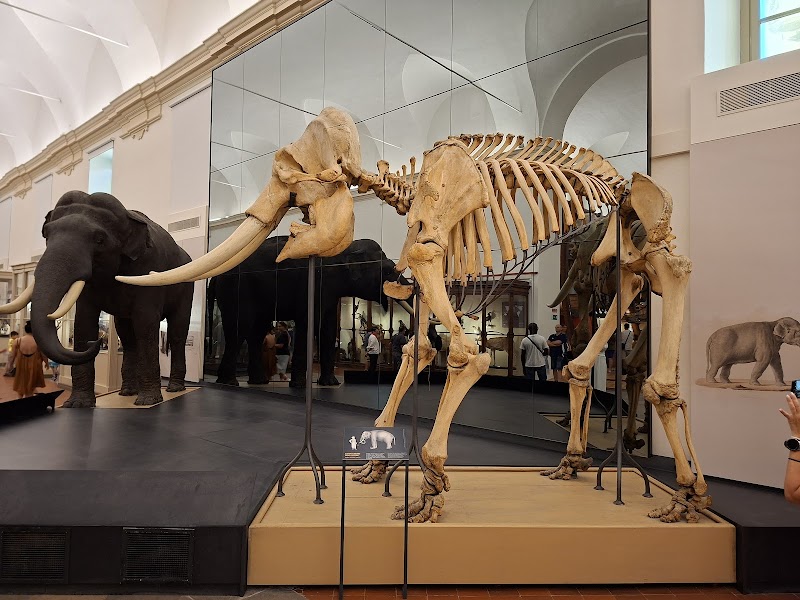 Museo Regionale di Scienze Naturali — Punto di interesse a Torino Sud, Torino