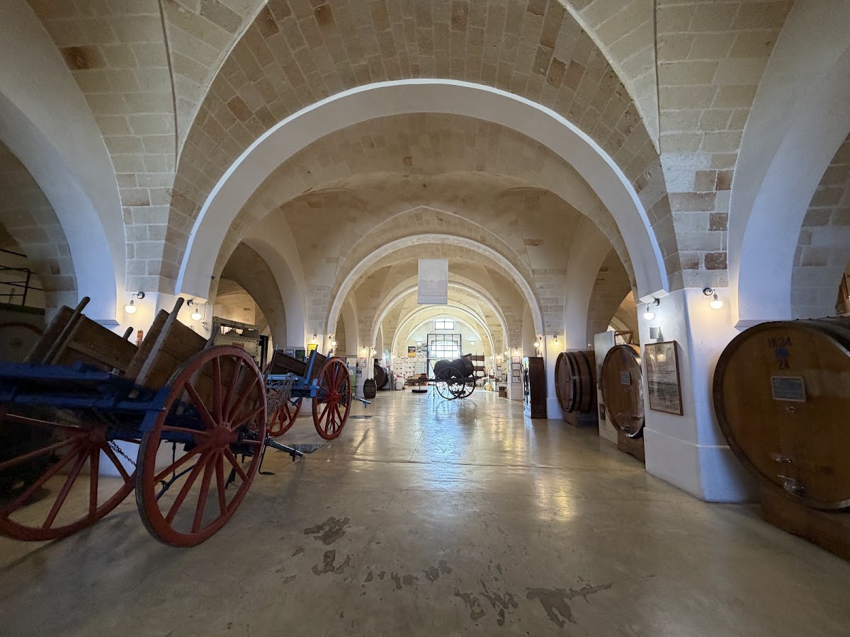 Museo della Civiltà del Vino Primitivo