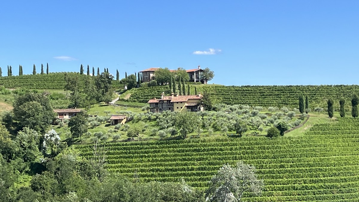Azienda Agricola Pascolo Di Pascolo Alessandro — Punto di interesse a Cormons, Gorizia