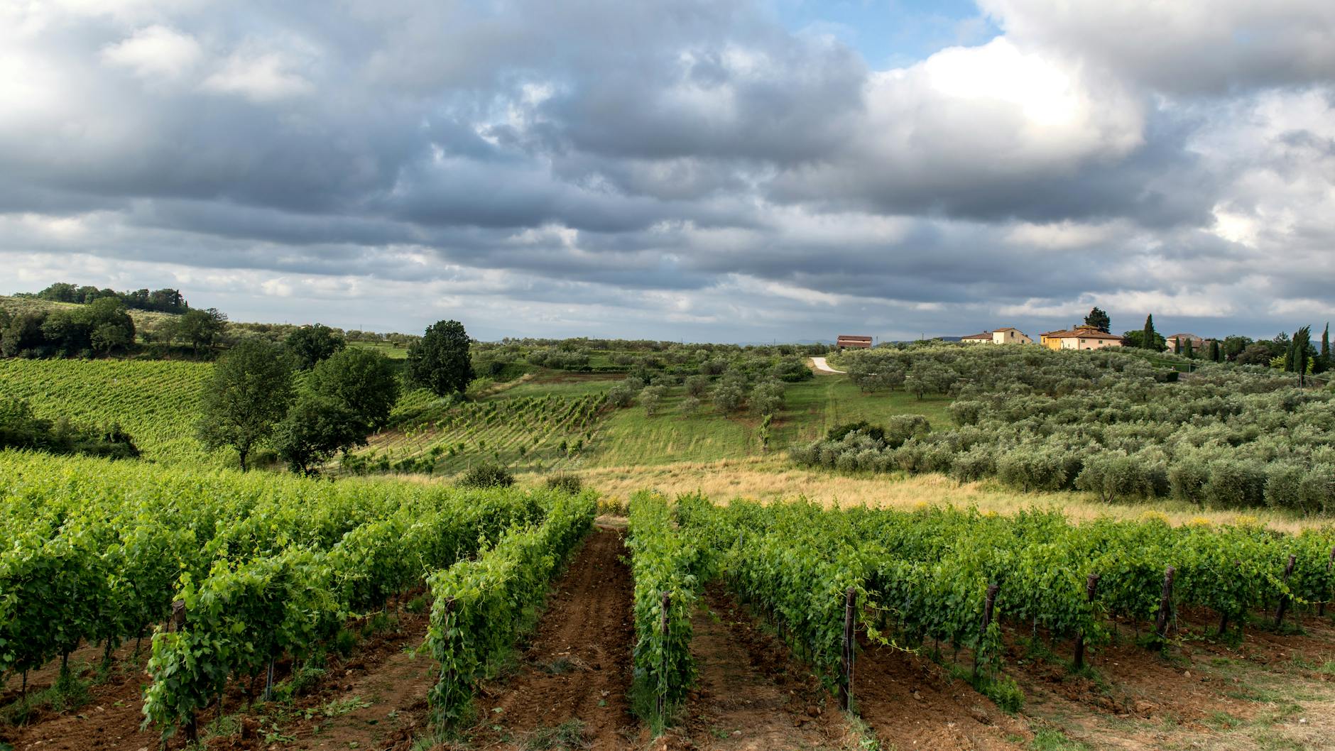 Castellare degli Ugurgieri — Punto di interesse , Firenze