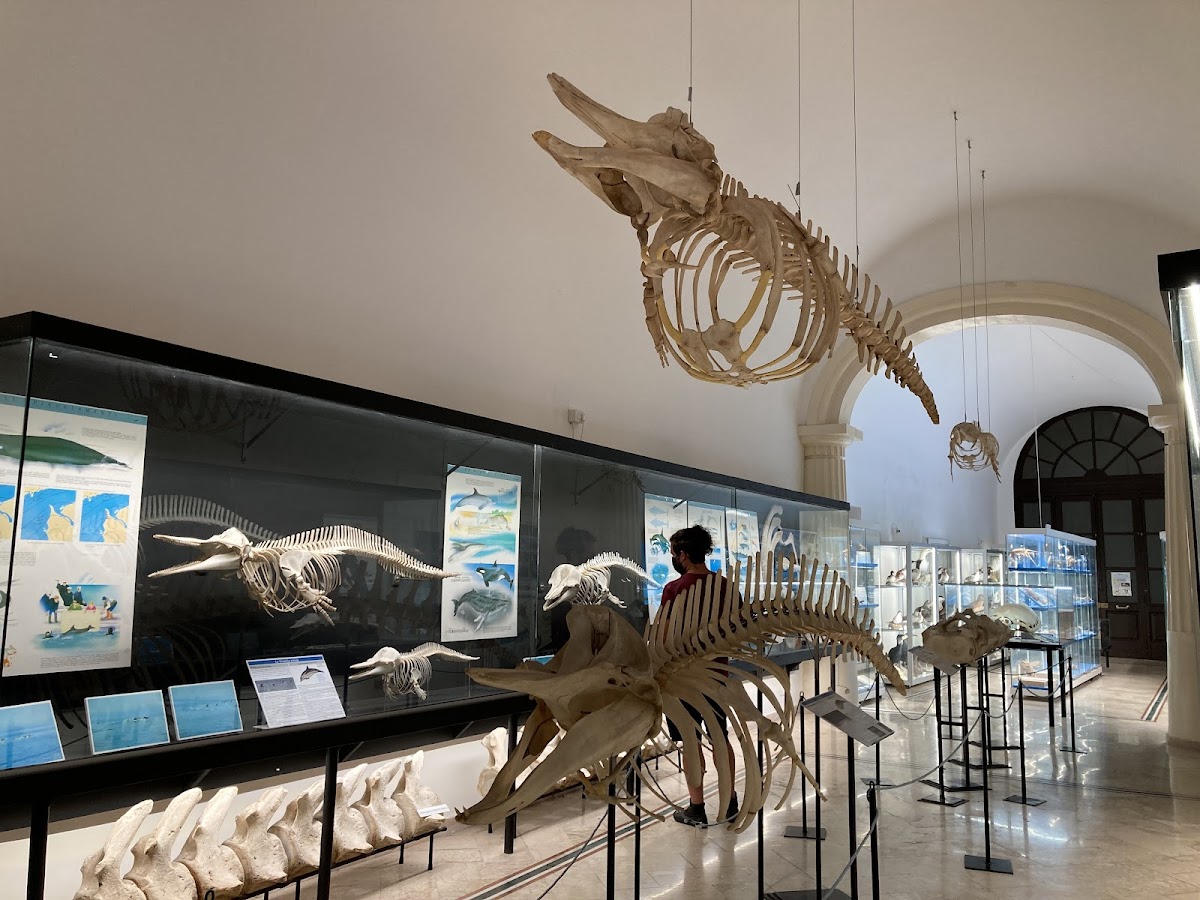 Museo del Mare — Punto di interesse a Gallipoli, Lecce