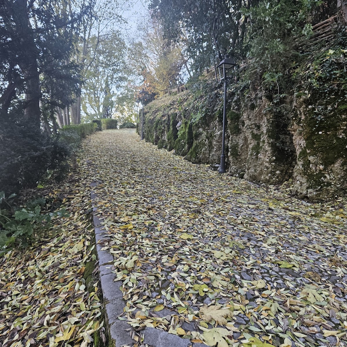 Colle del castello — Punto di interesse a Udine, Udine