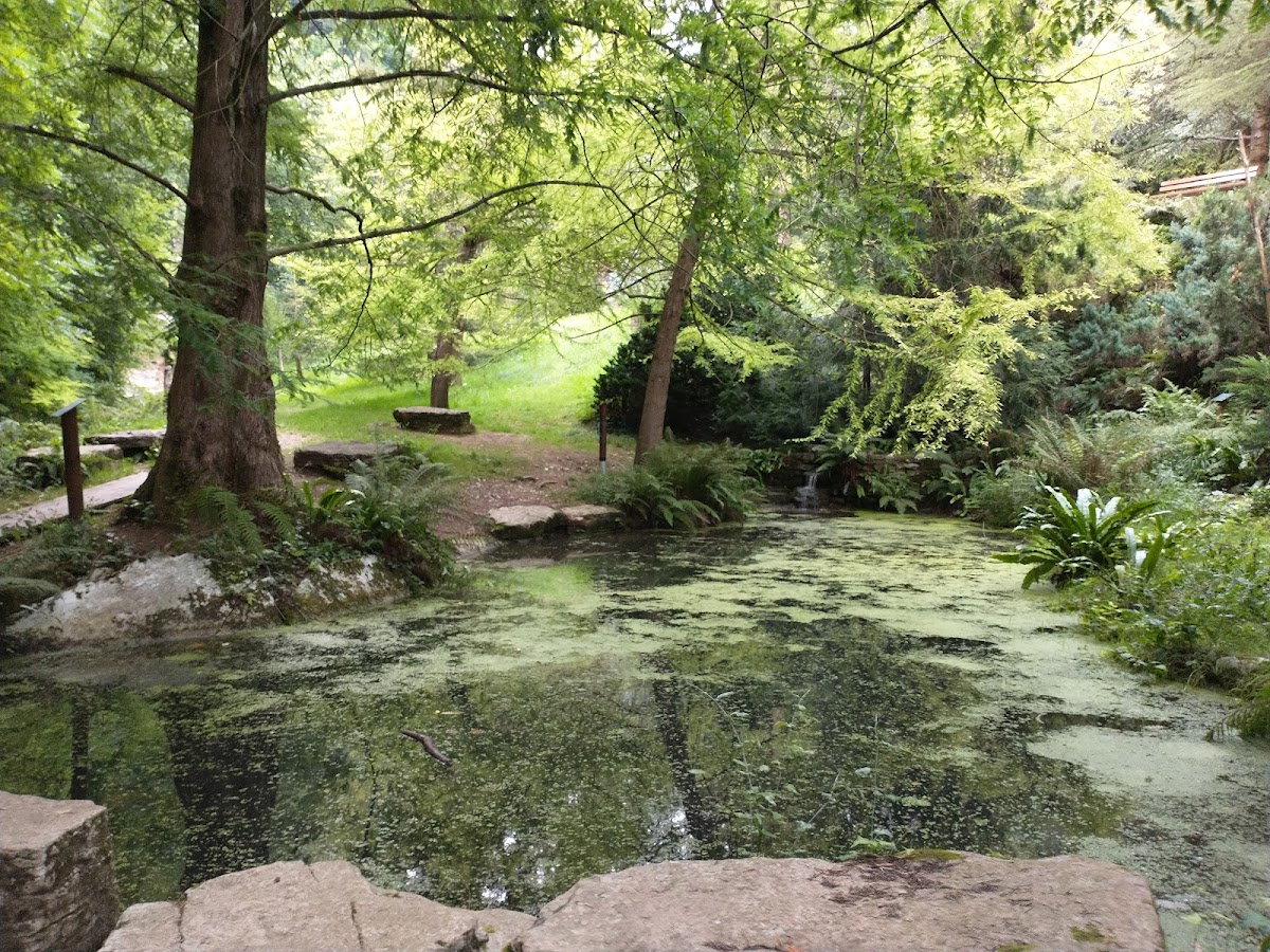 Orto Botanico delle Conifere — Punto di interesse a Brescia, Brescia