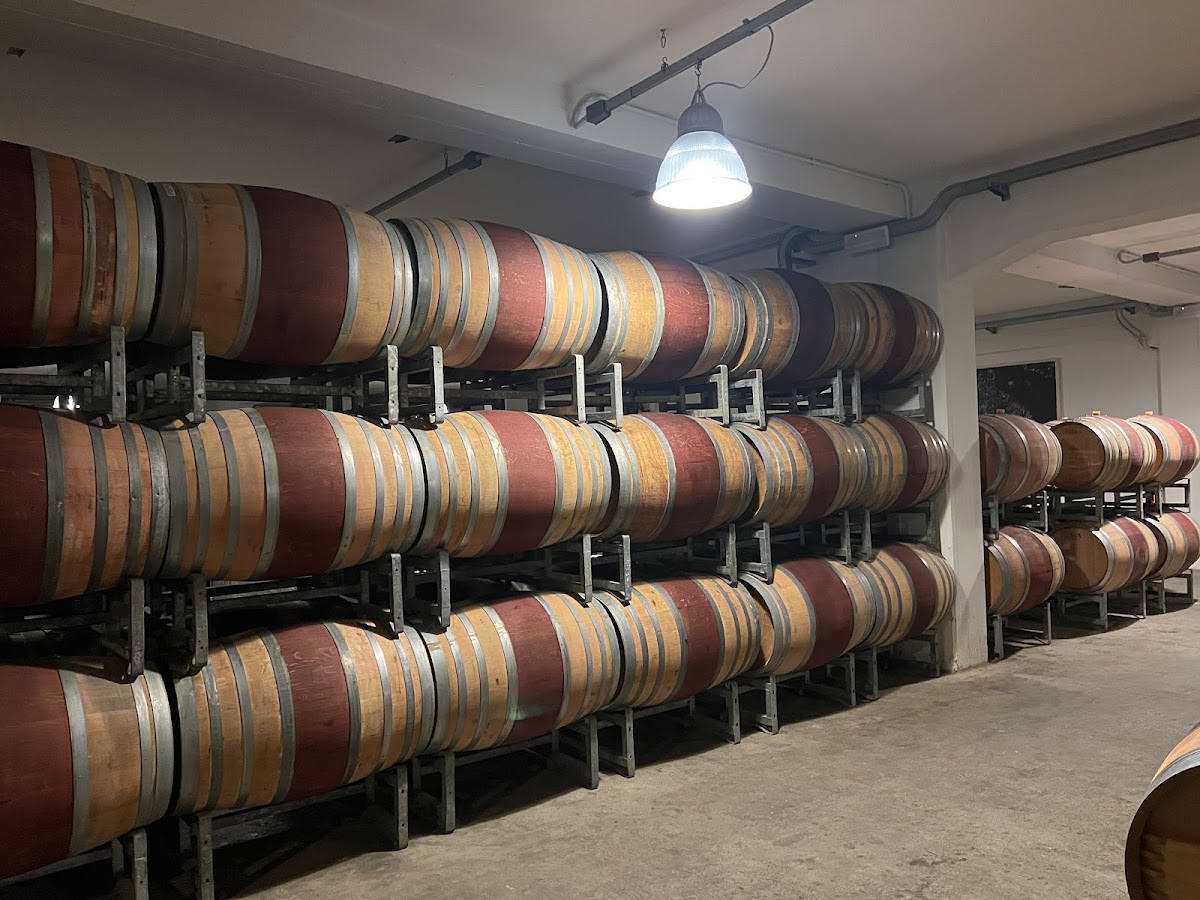 Casa Vinicola Gioacchino Garofoli — Punto di interesse a Ancona, Ancona