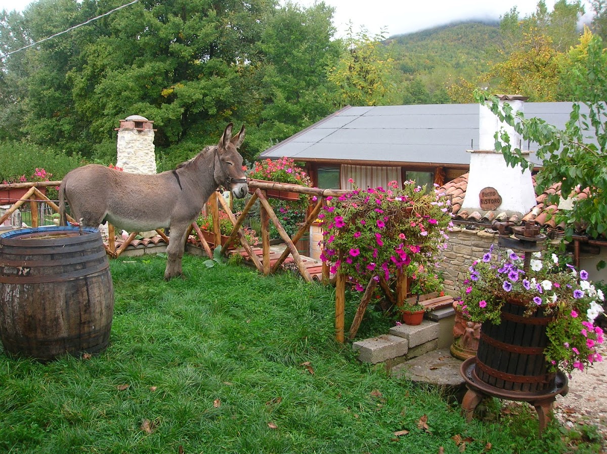 Agriturismo La Canestra - cucina tipica, fattoria didattica, camere — Punto di interesse a Pescara, Pescara