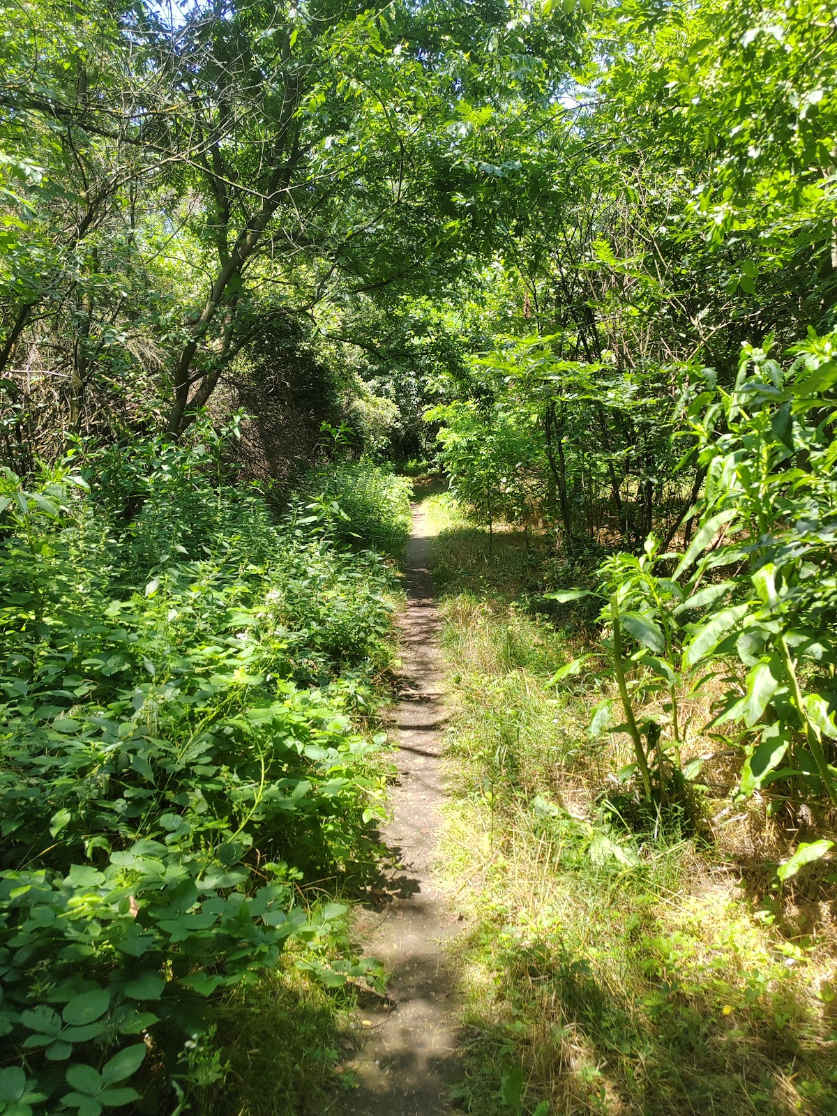 Confine riserva naturale bosco WWF — Punto di interesse a Milano, Milano