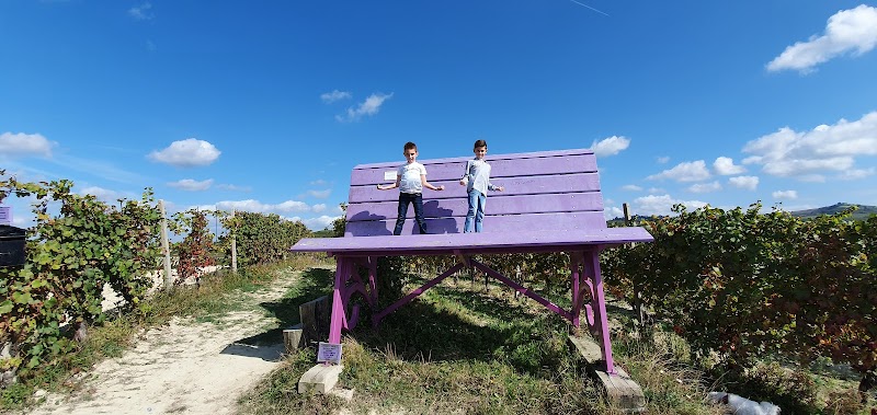 Big Bench #2 Panchina Gigante - Farigliano