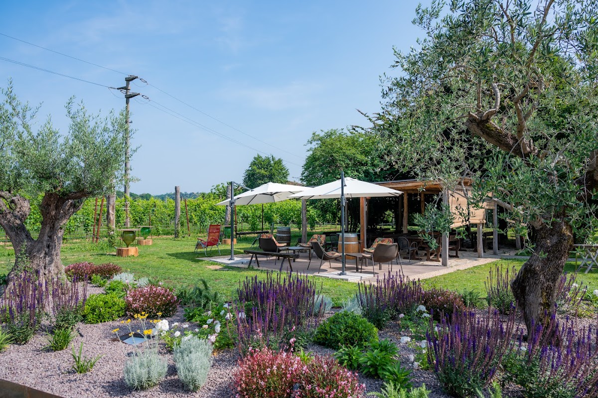 Azienda Agricola Roccat — Punto di interesse a Conegliano, Treviso