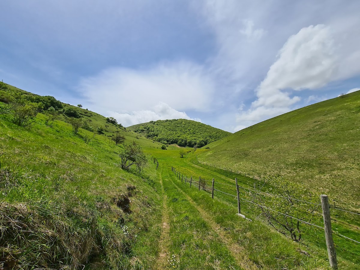 Riserva naturale Montagna di Torricchio