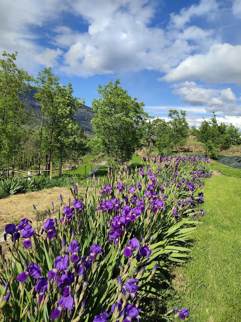 Giardino e orto di Vieilles maisons d'Introd