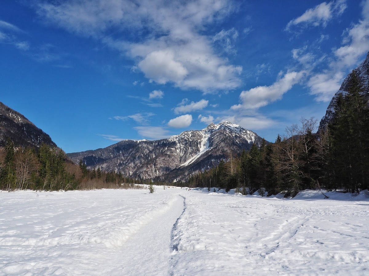 Saisera Wild Track — Punto di interesse a Udine, Udine
