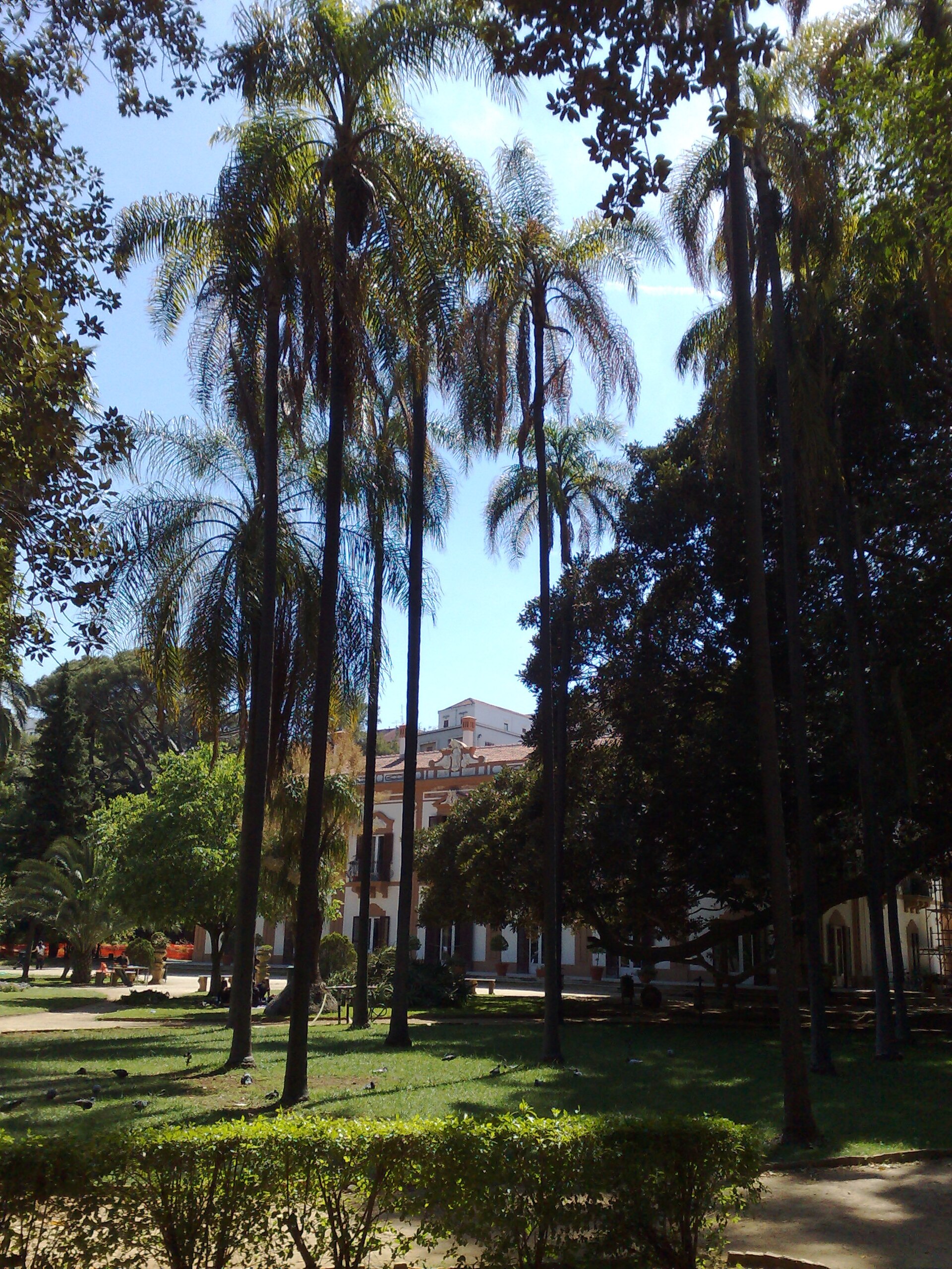 Biblioteca comunale di Palermo, sede di Villa Trabia — Punto di interesse a Palermo, Palermo