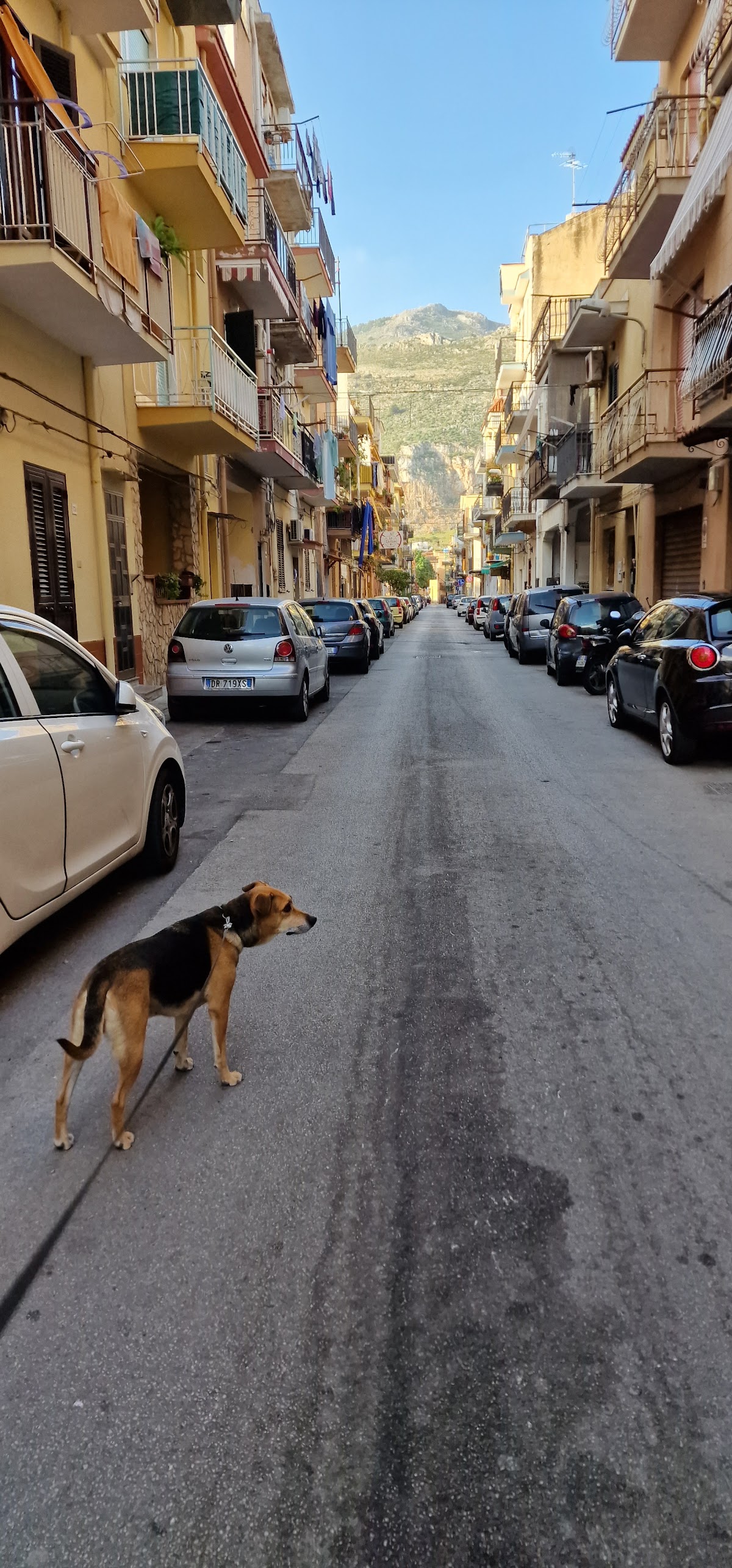 Camping degli ulivi di Matranga Pasquale — Punto di interesse a Palermo, Palermo
