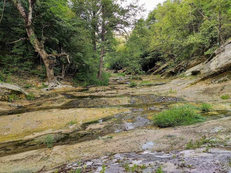 Torrente Neirone