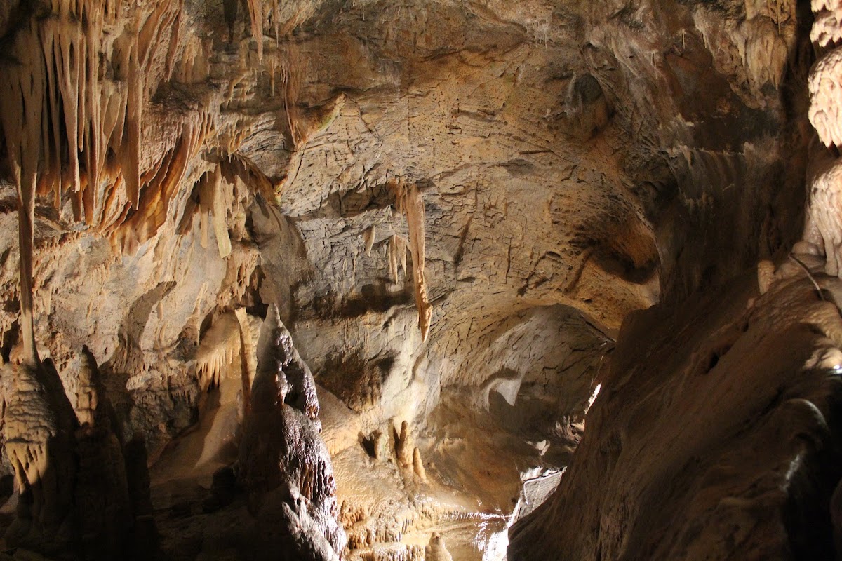Grotte di Toirano