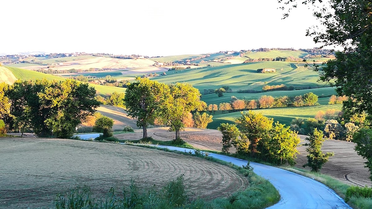 Tenuta San Marcello Cantina con Cucina — Punto di interesse a Macerata, Macerata